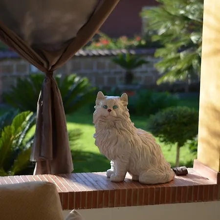 La Magnolia 3* Campagna