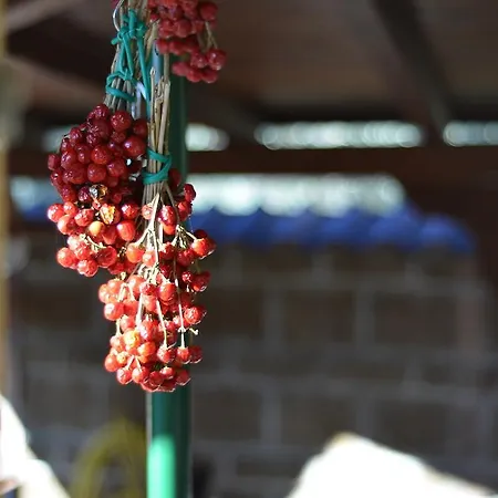 La Magnolia Couette-café Campagna